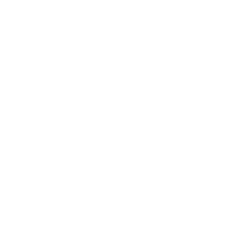 NEON-logo